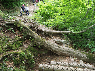 P5311328_thumb.png