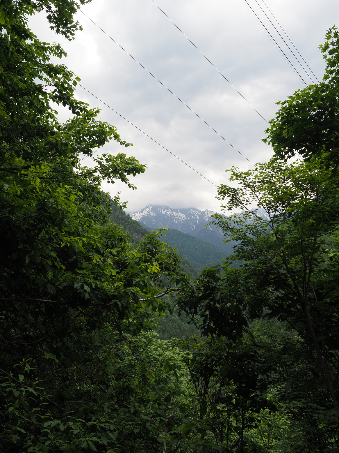 P5311329.jpg