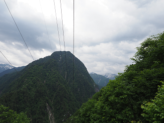 P5311333_thumb.png