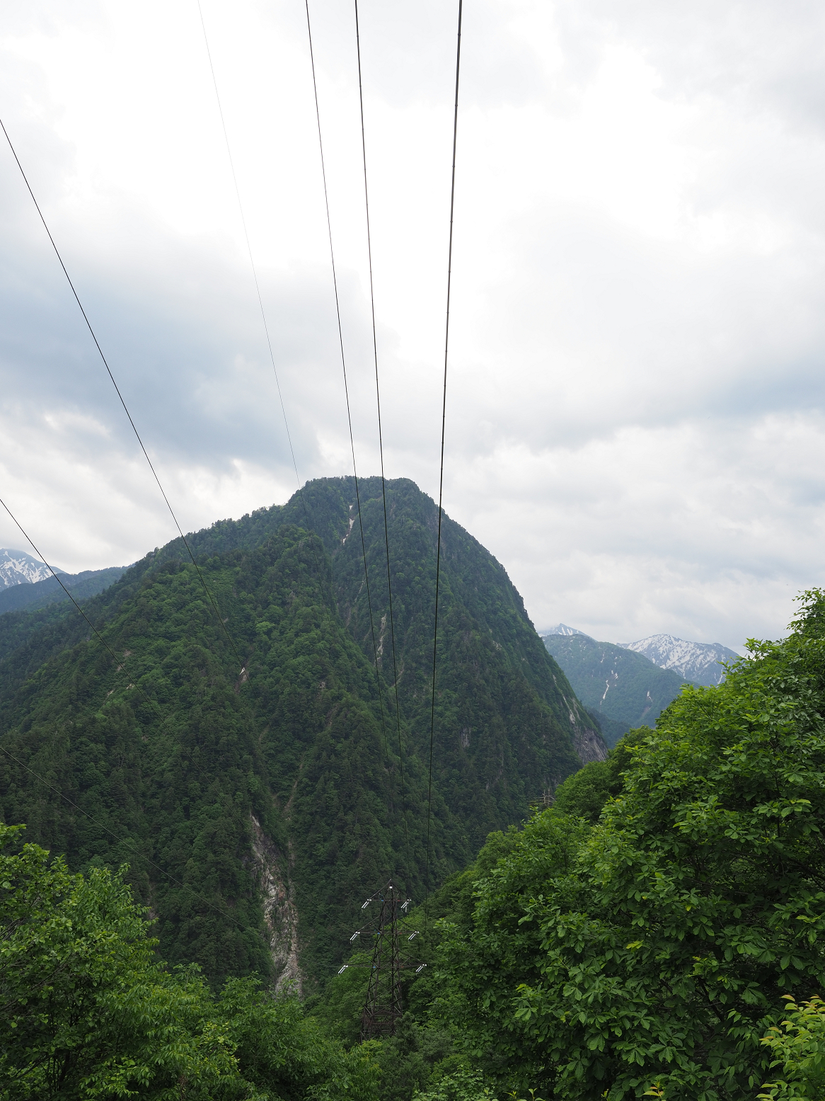 P5311334.jpg