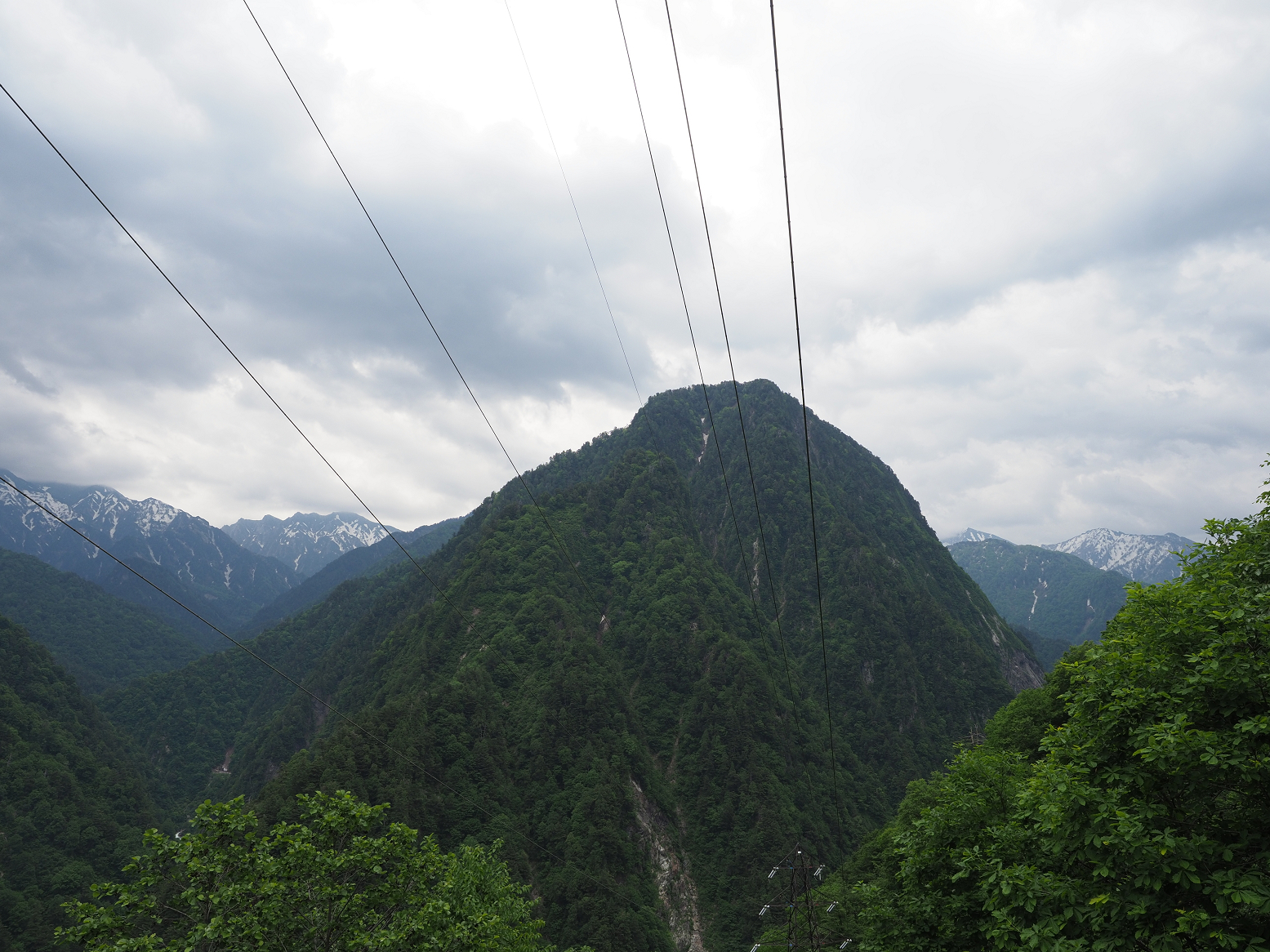 P5311335.jpg
