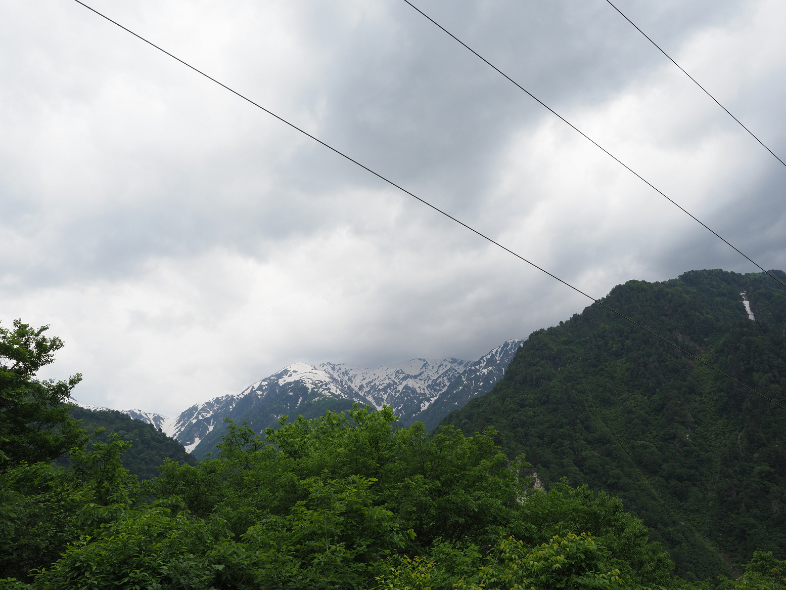 P5311336.jpg