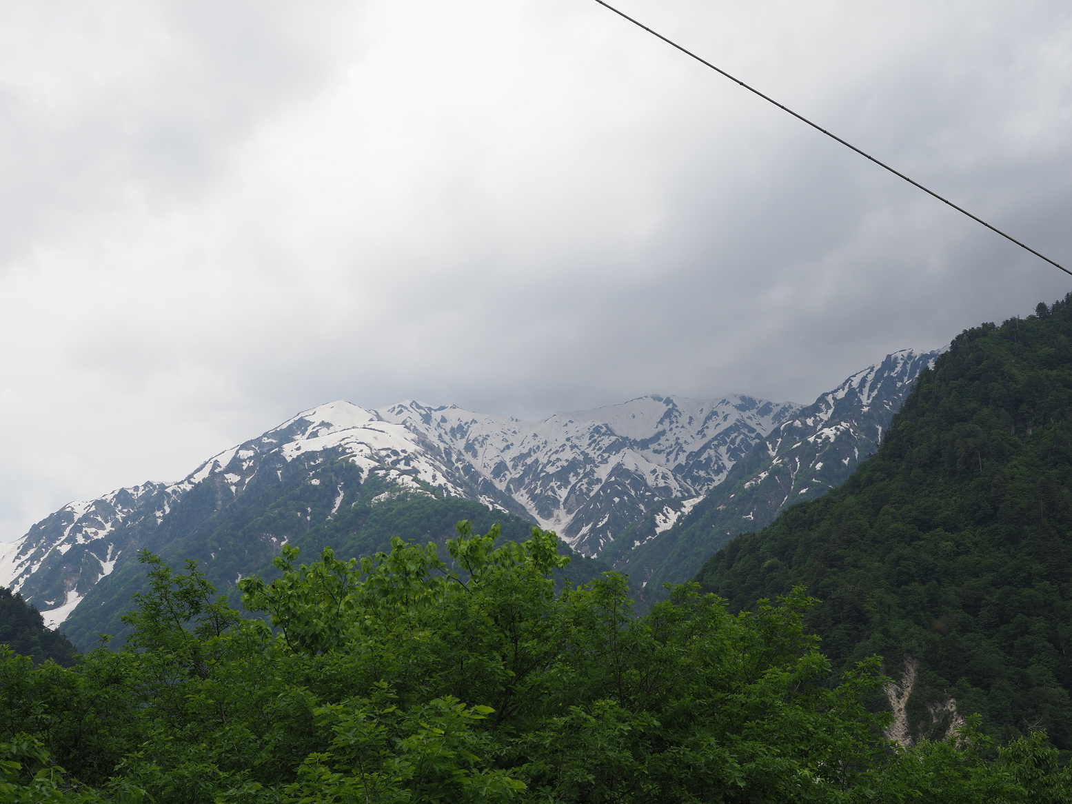 P5311340.jpg