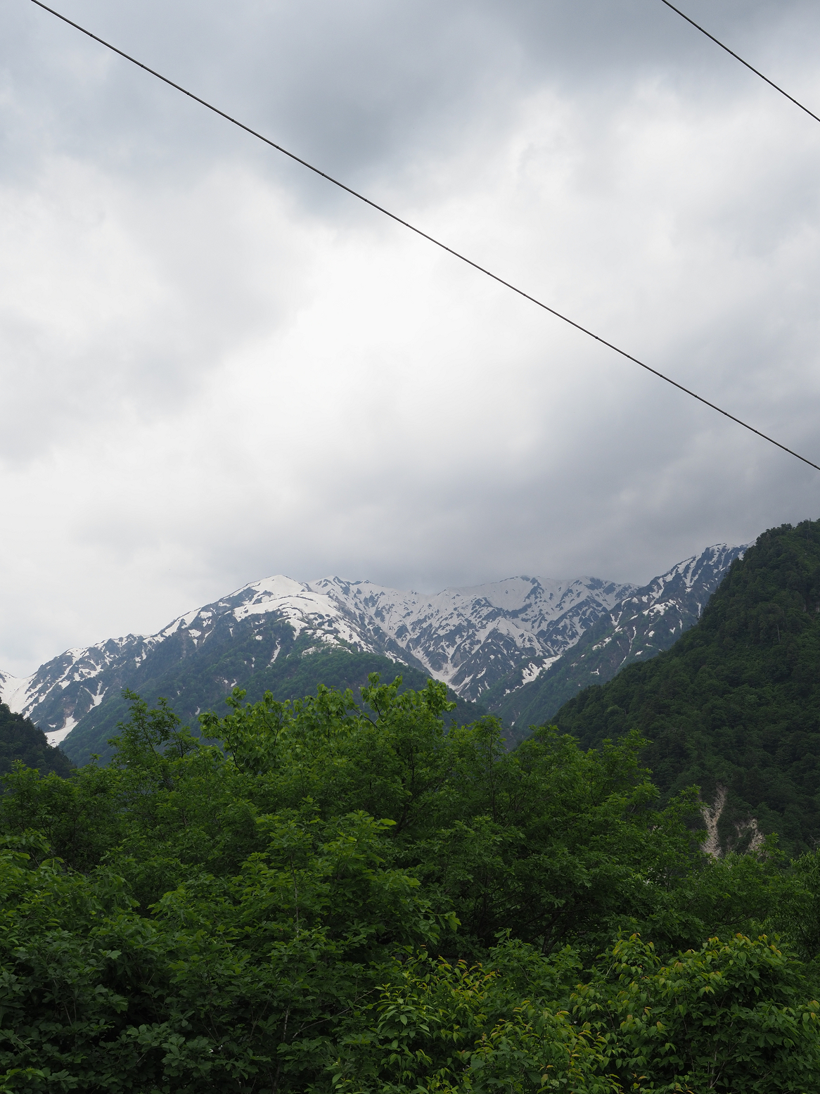 P5311341.jpg