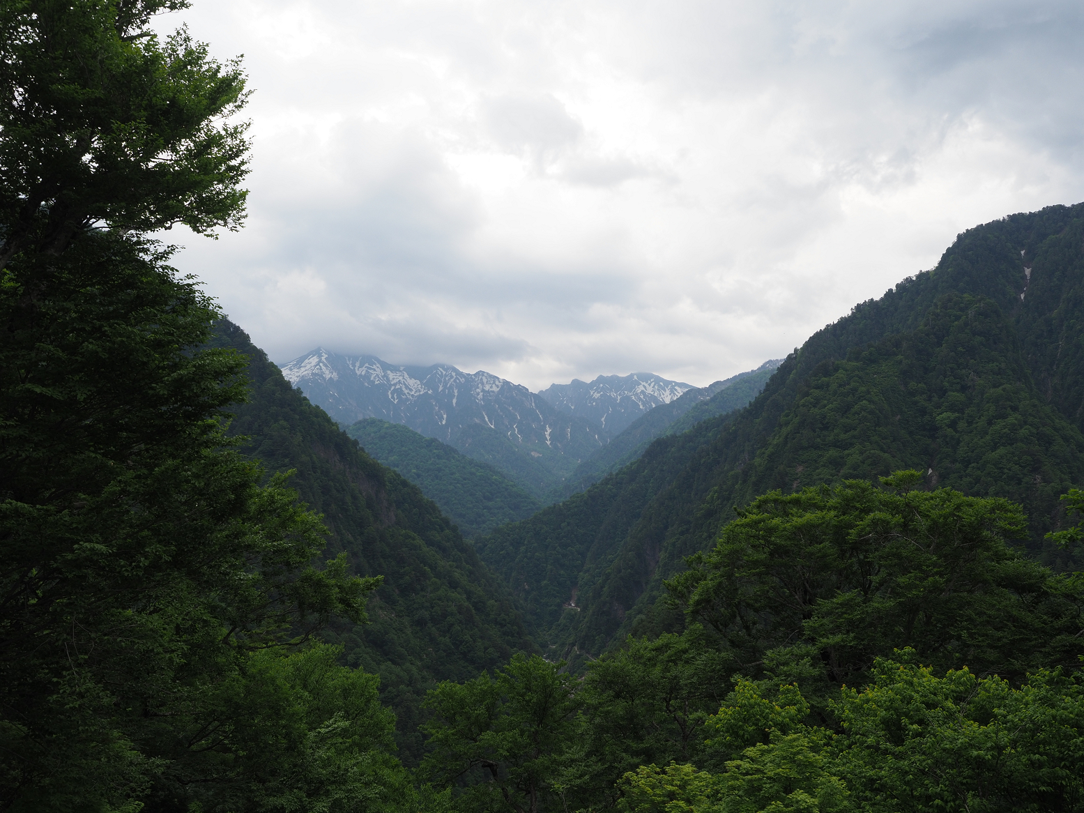 P5311342.jpg