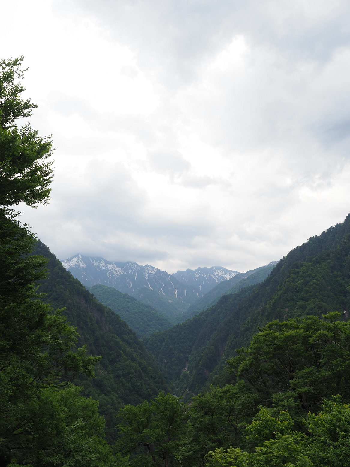 P5311343.jpg