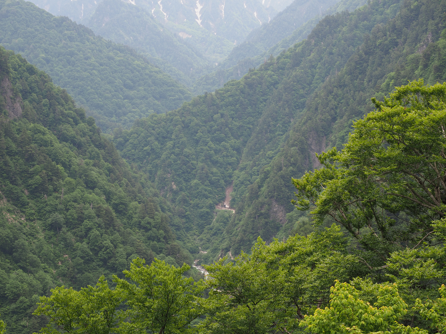 P5311348.jpg