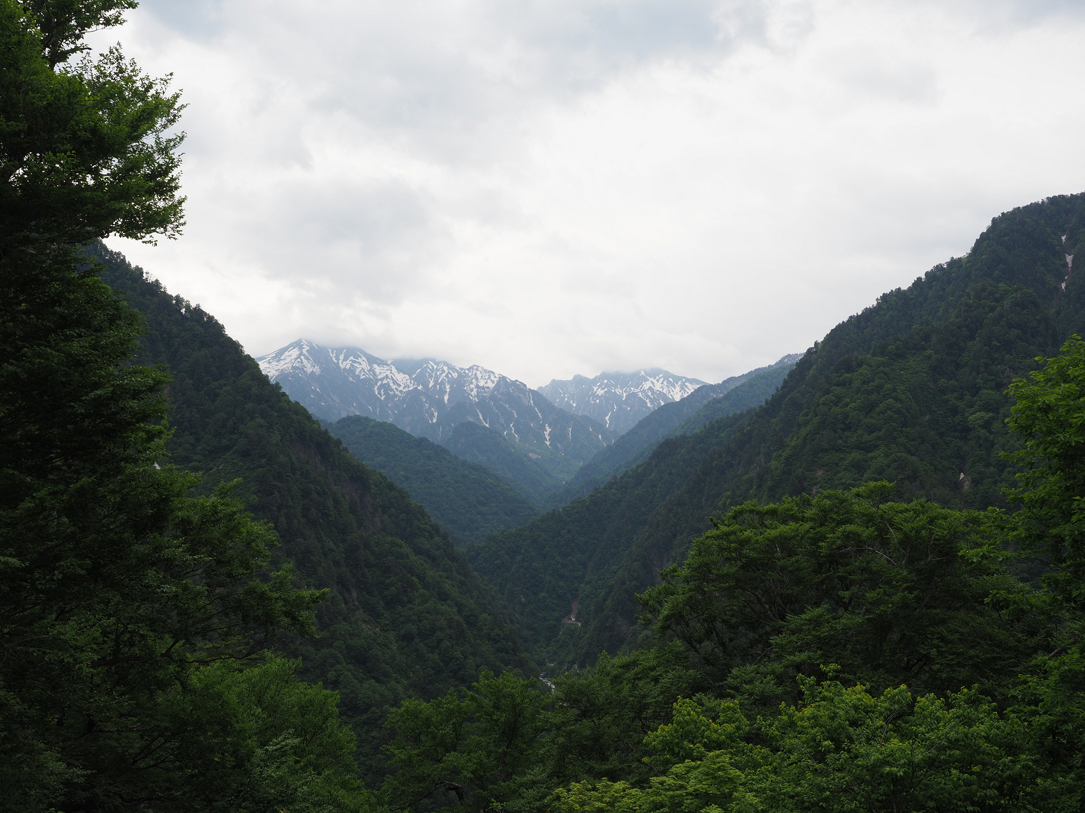 P5311349.jpg