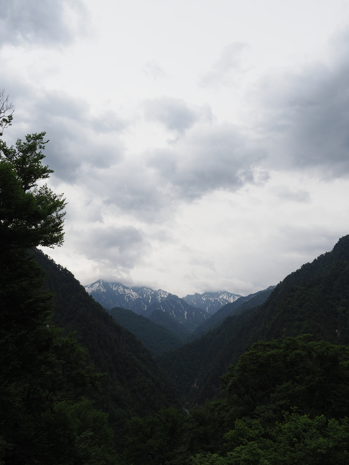 P5311351.jpg