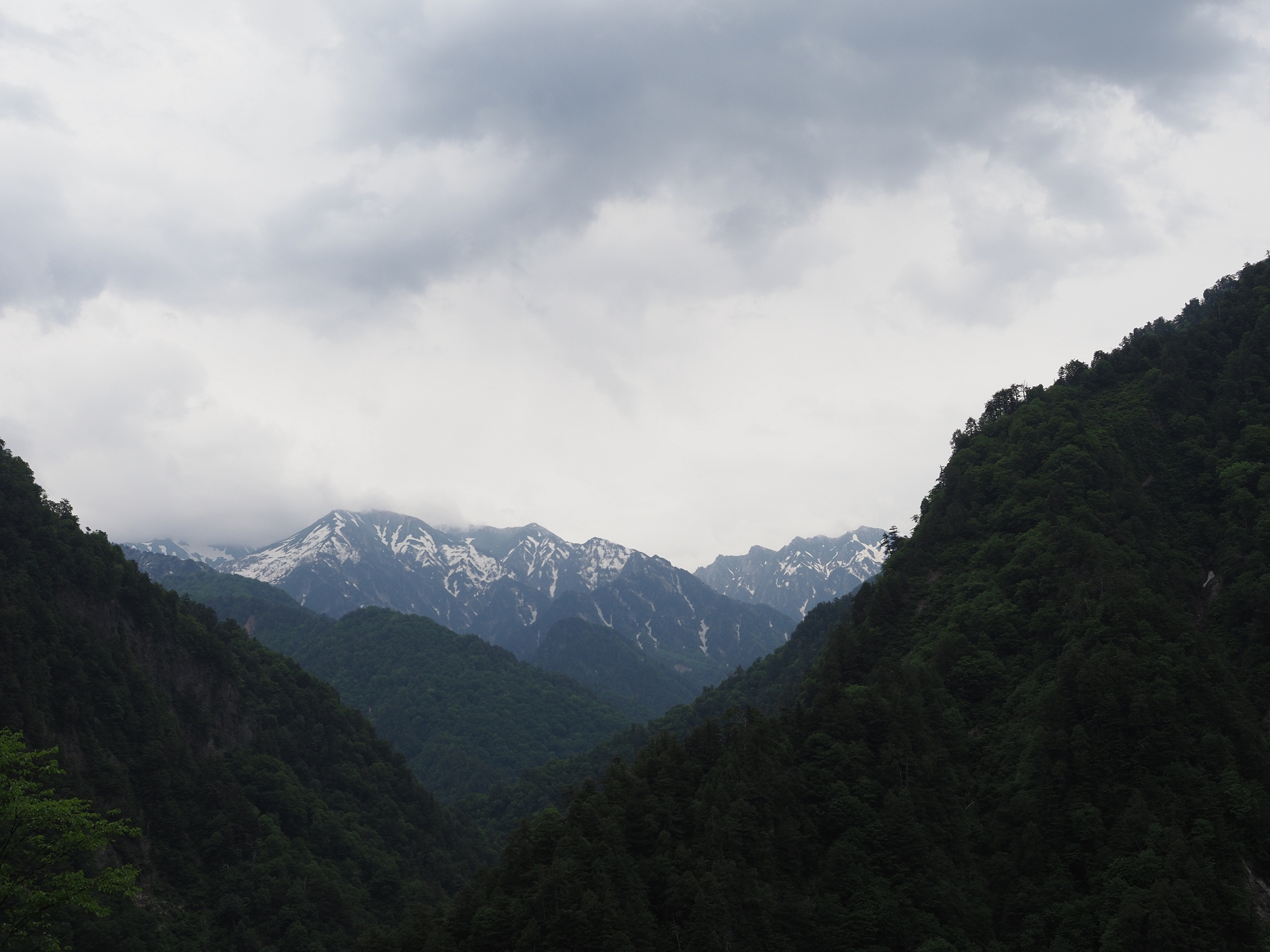 P5311360.jpg