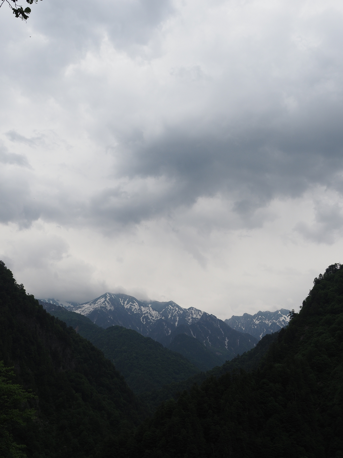 P5311361.jpg