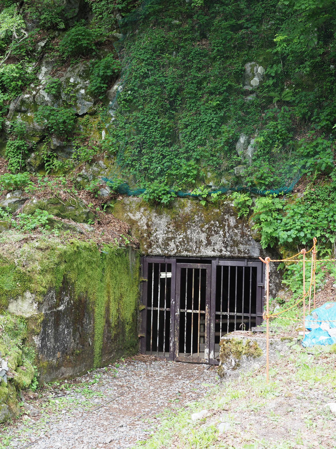 P5311364.jpg