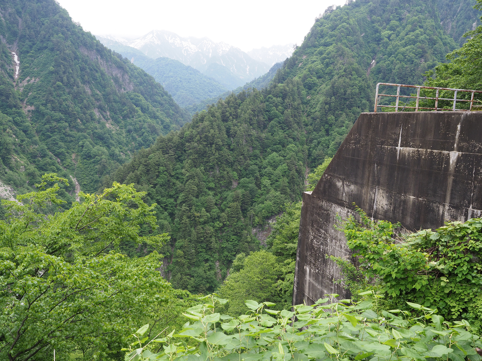 P5311367.jpg