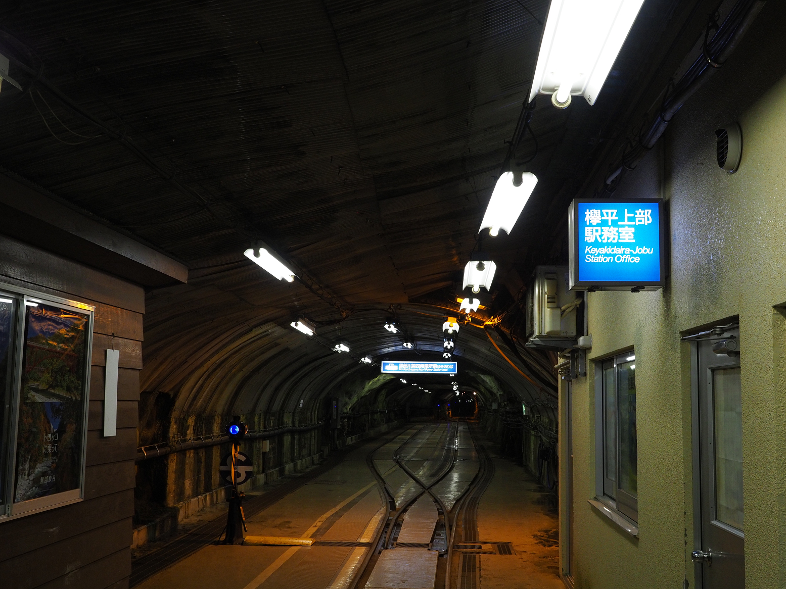 P5311429.jpg