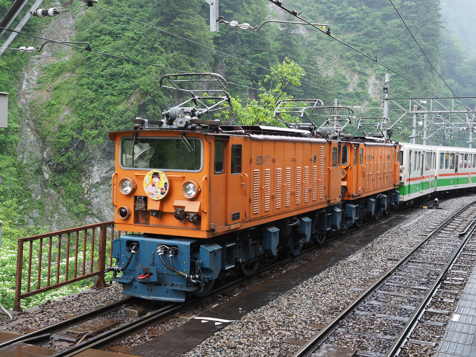 P5311501.jpg