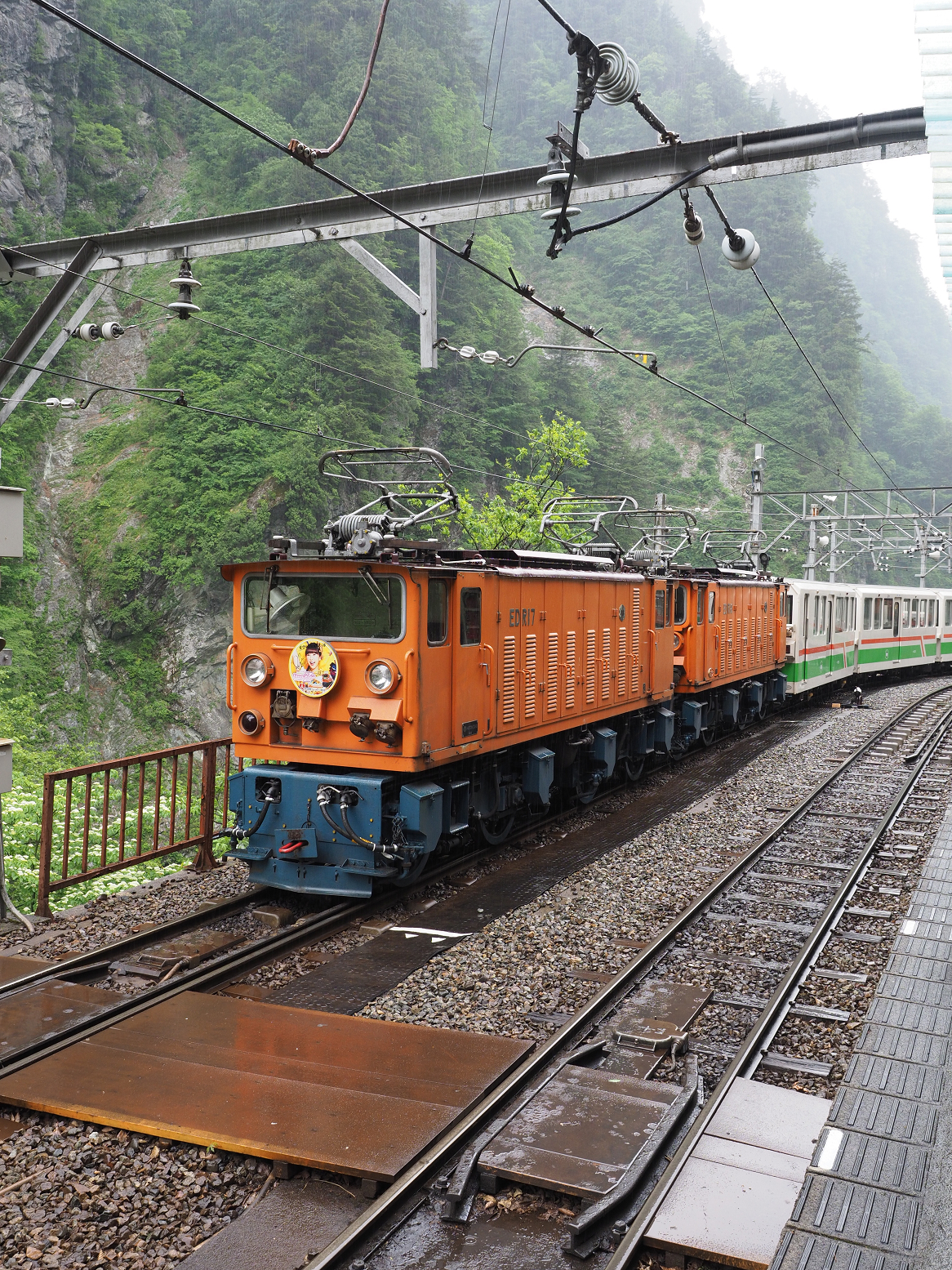P5311503.jpg