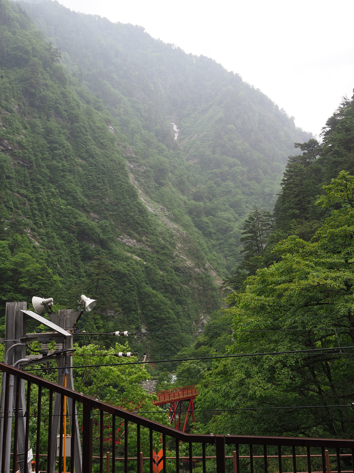 P5311510.jpg