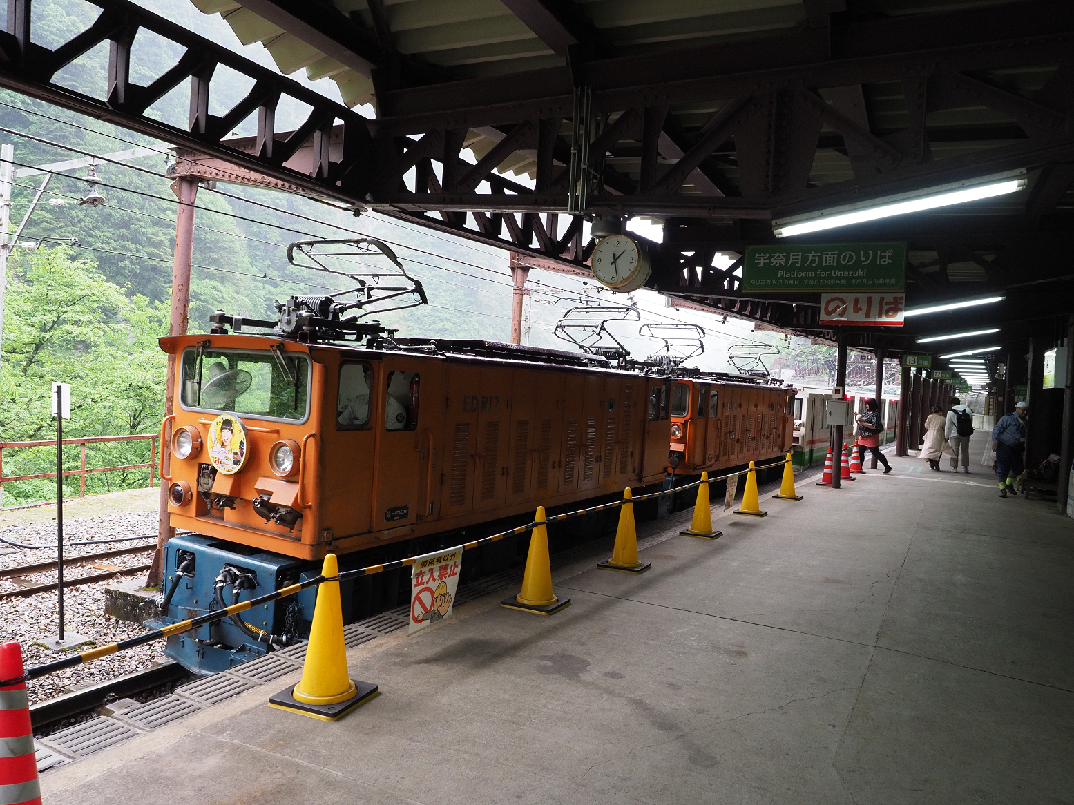P5311511.jpg