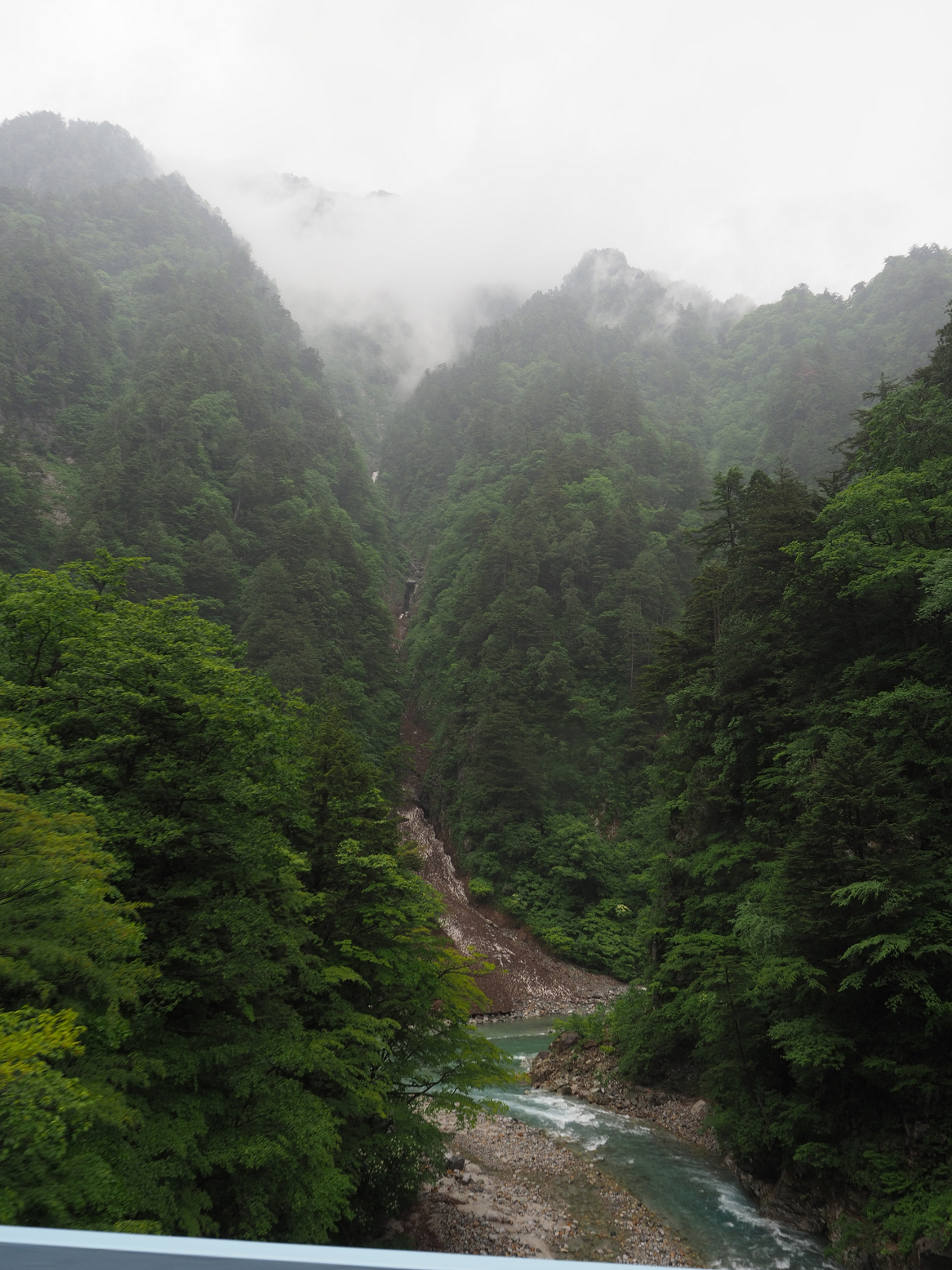 P5311521.jpg