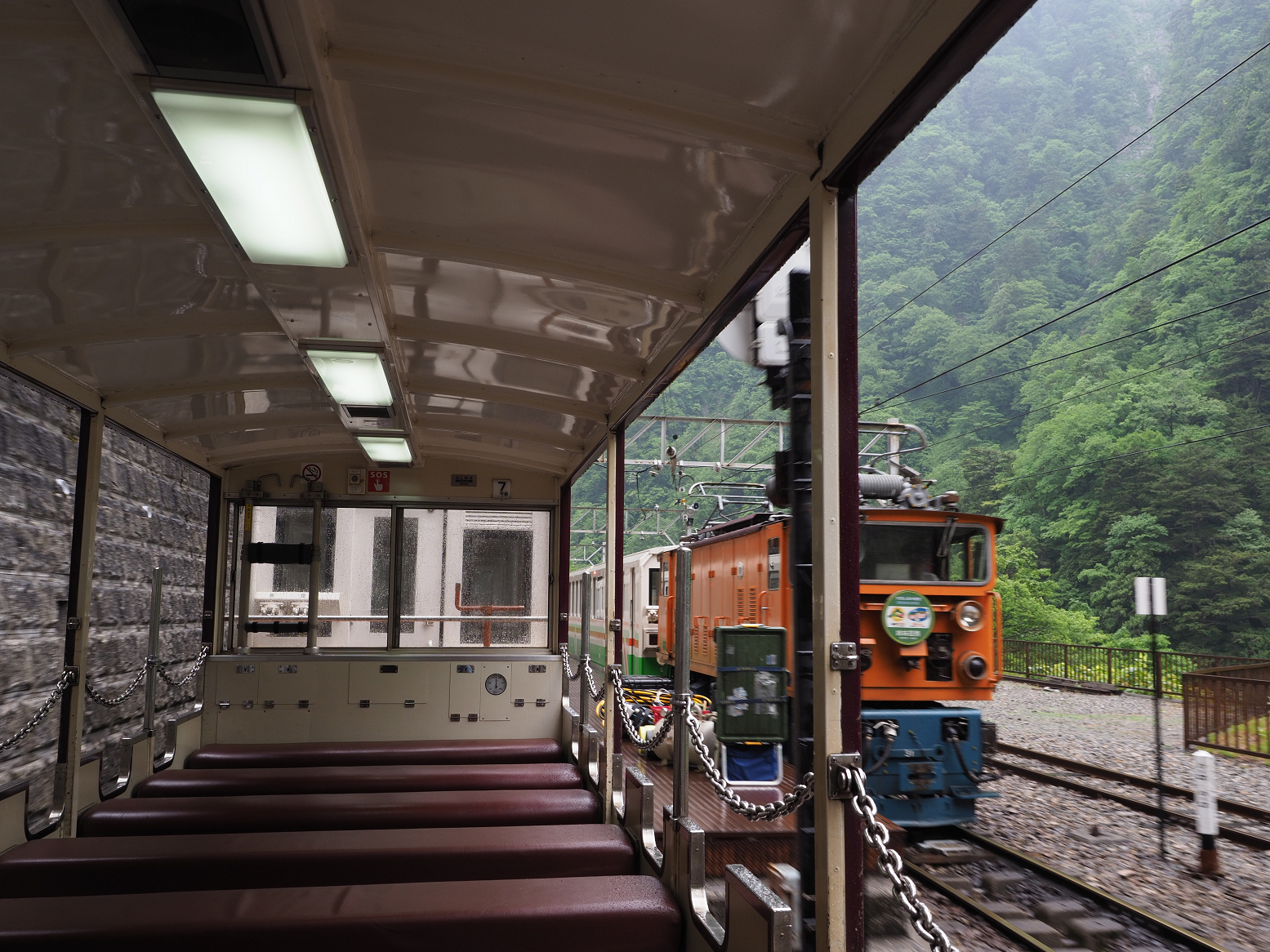 P5311524.jpg