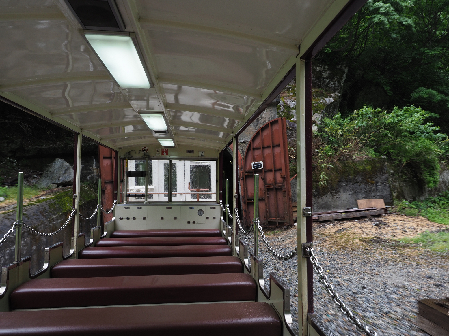 P5311528.jpg