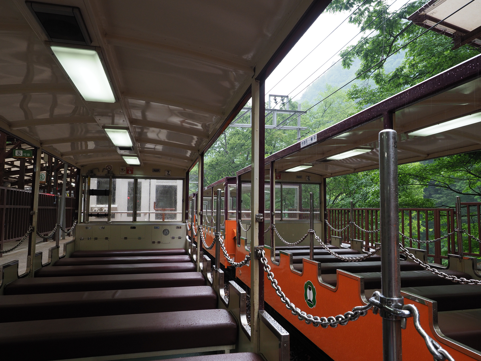 P5311545.jpg