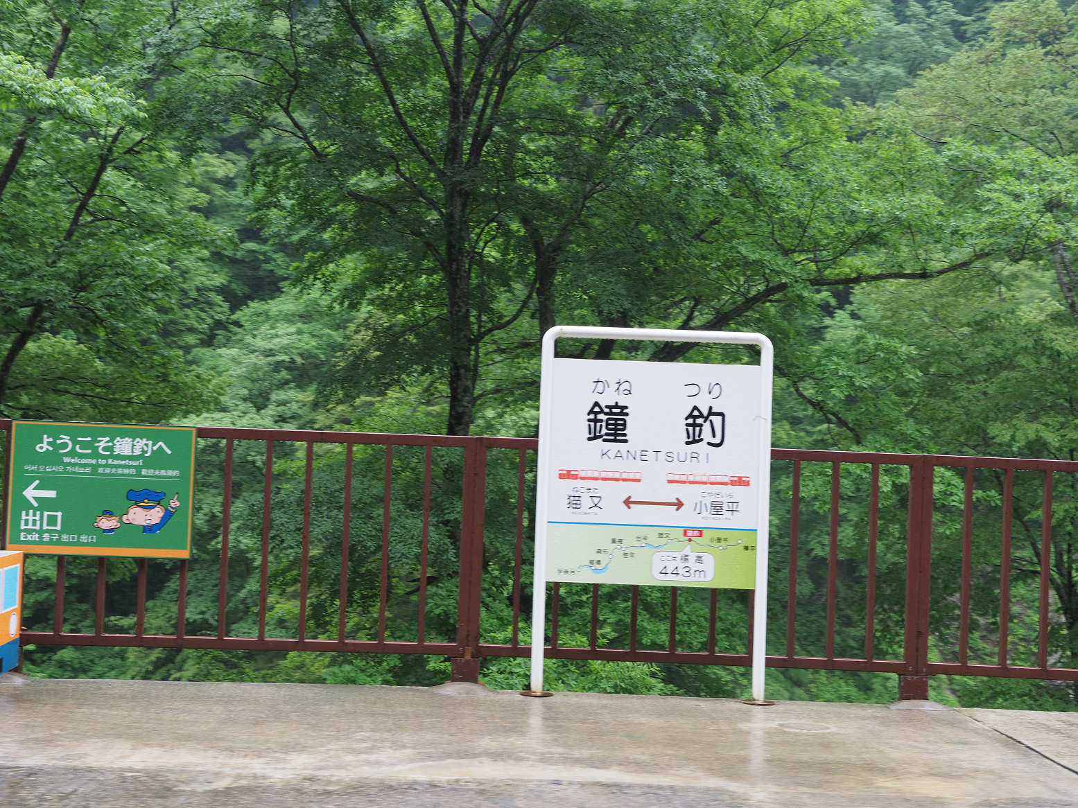 P5311550.jpg
