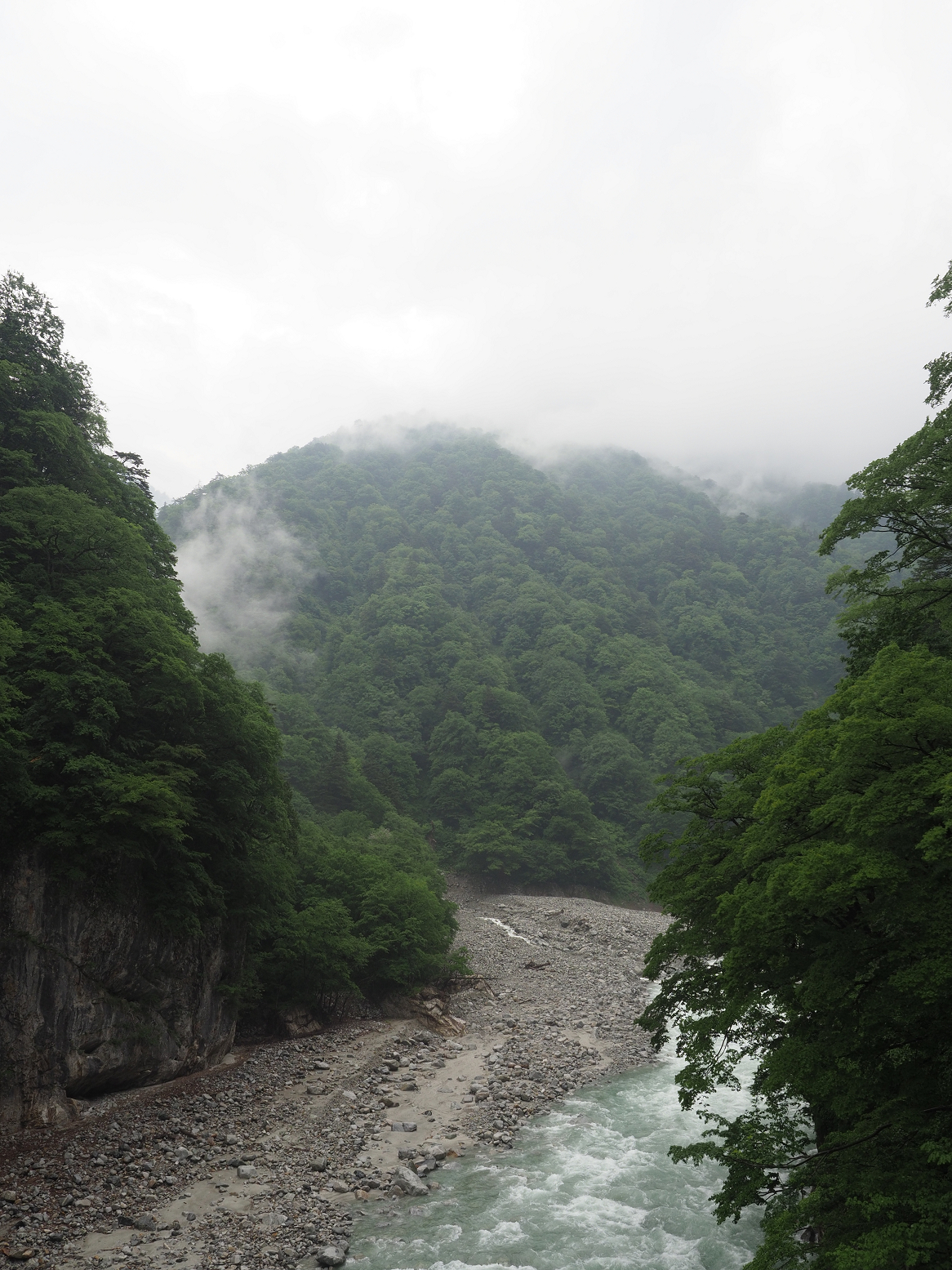 P5311553.jpg