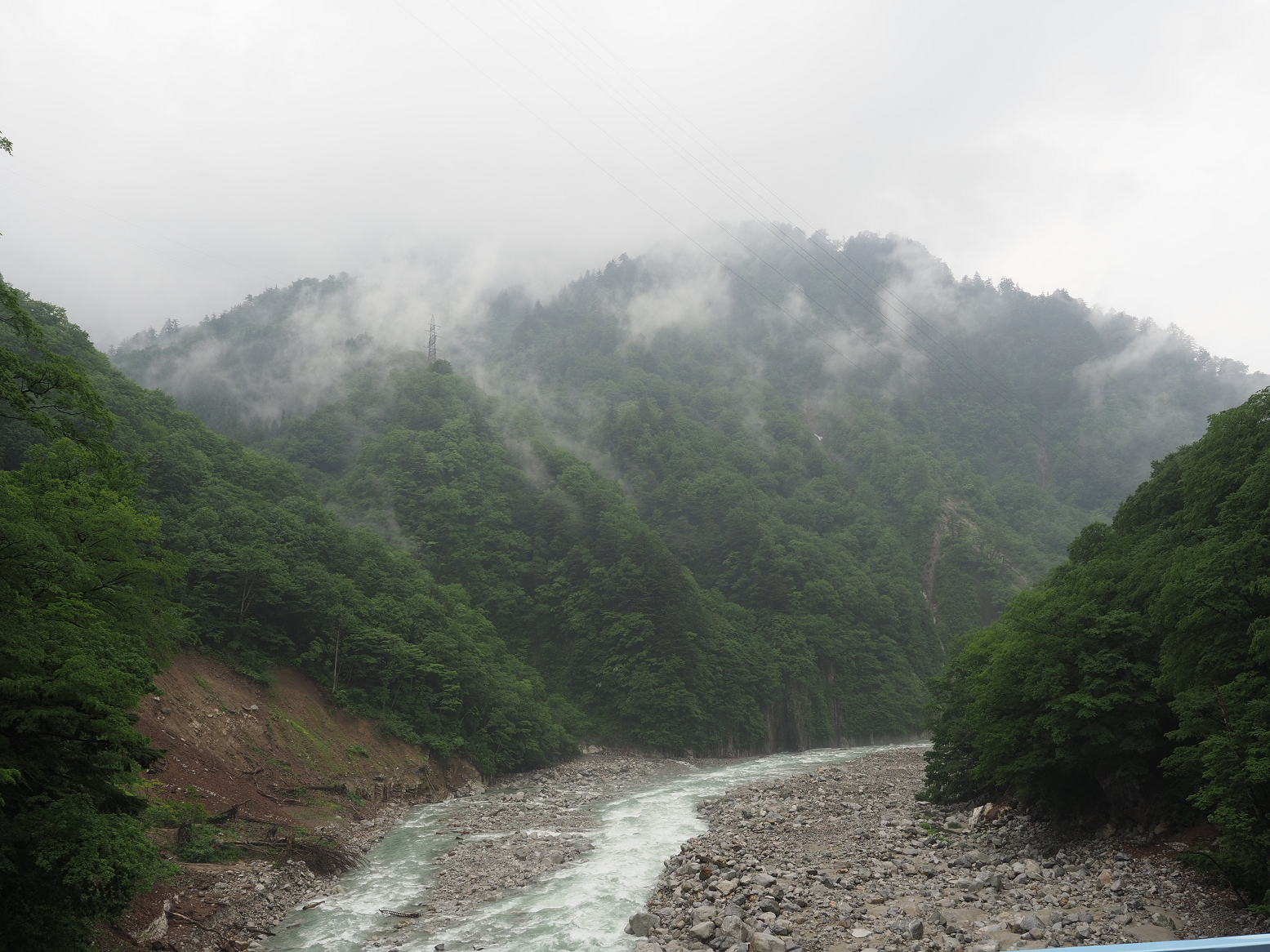 P5311555.jpg
