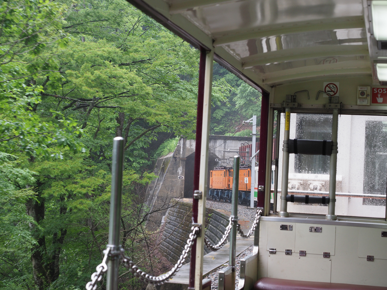 P5311559.jpg