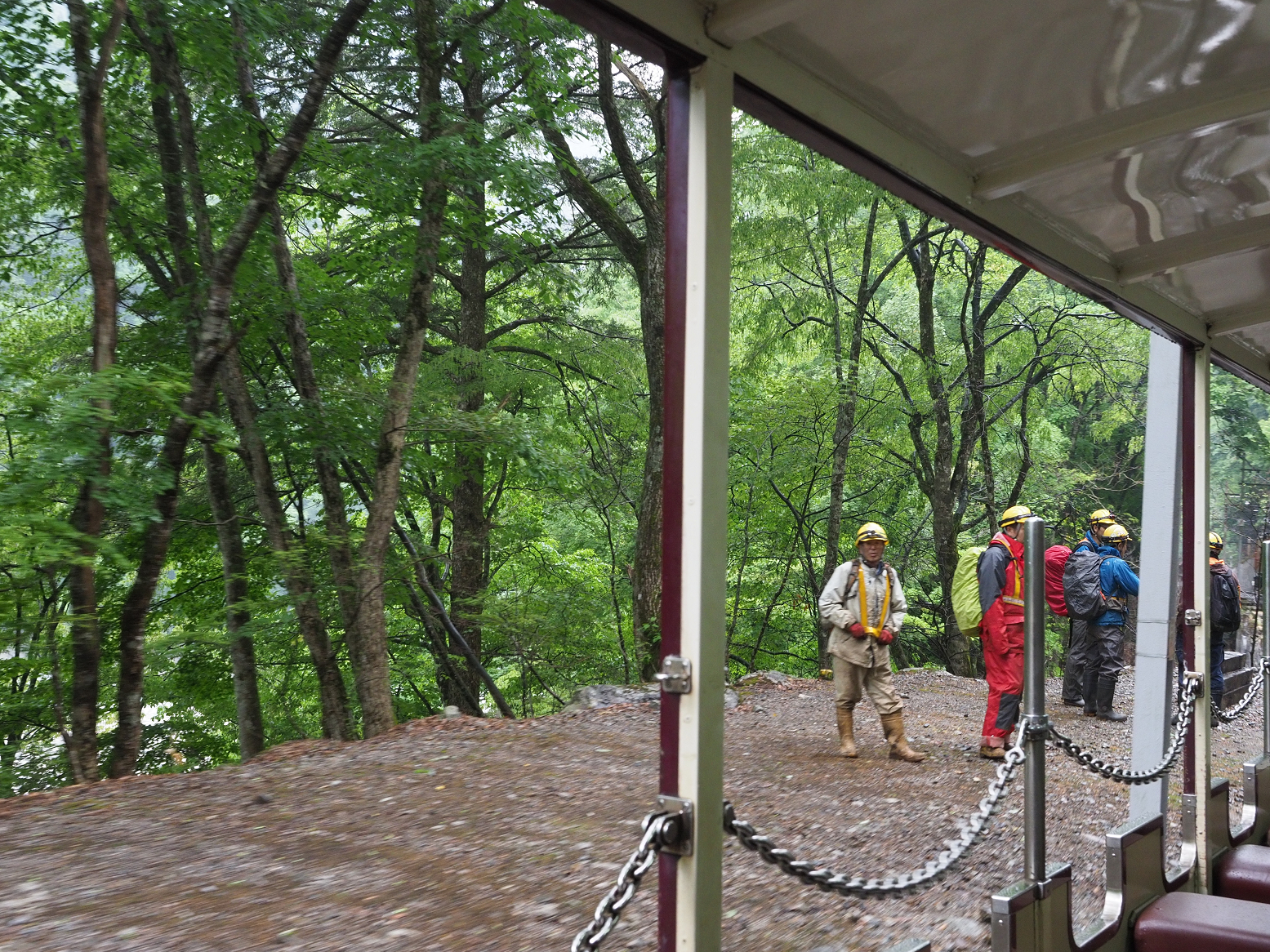 P5311563.jpg