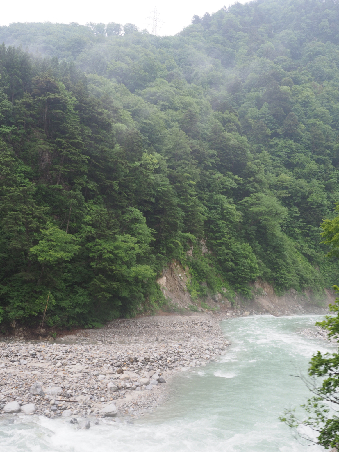 P5311566.jpg