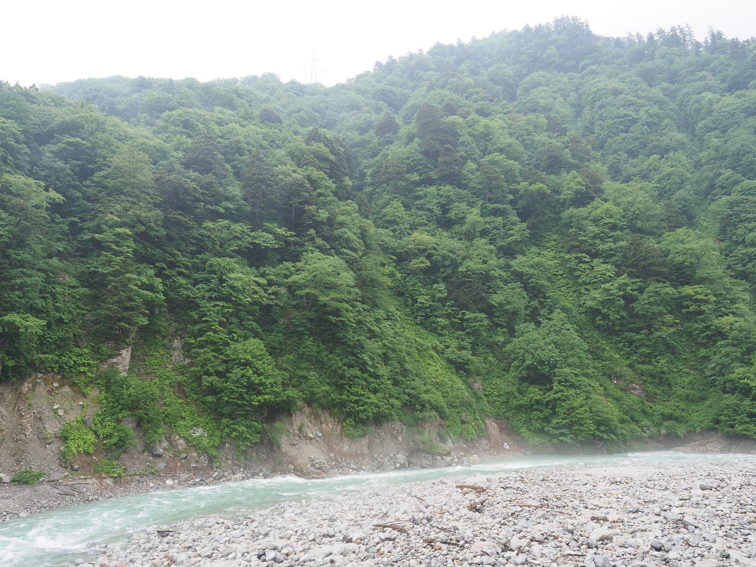 P5311568.jpg