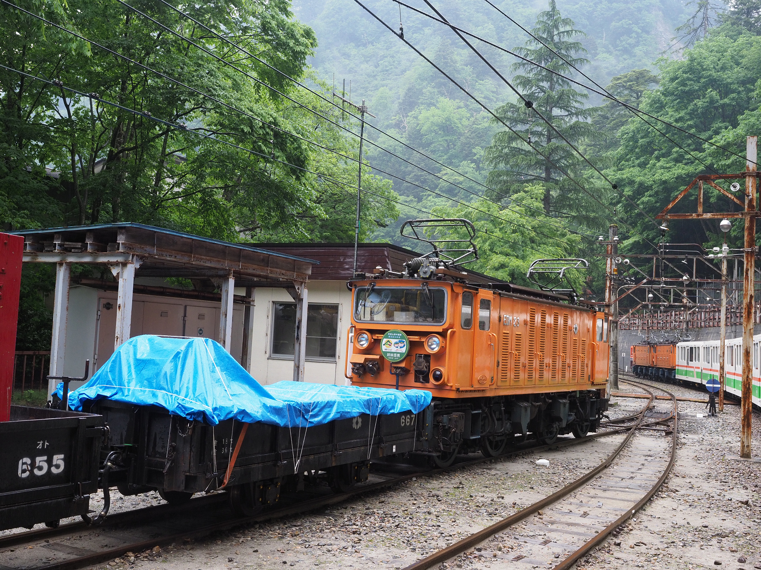 P5311579.jpg