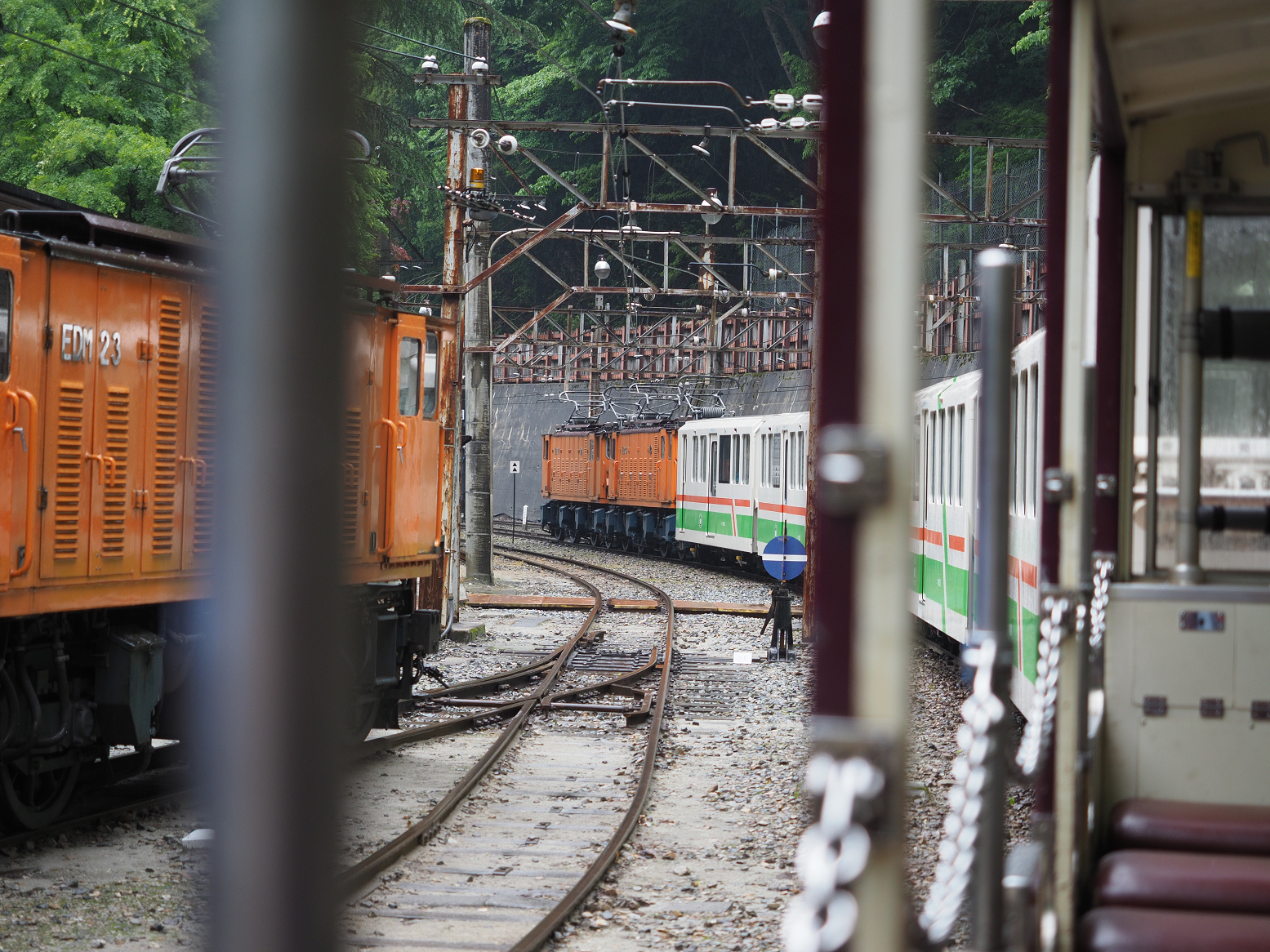 P5311586.jpg