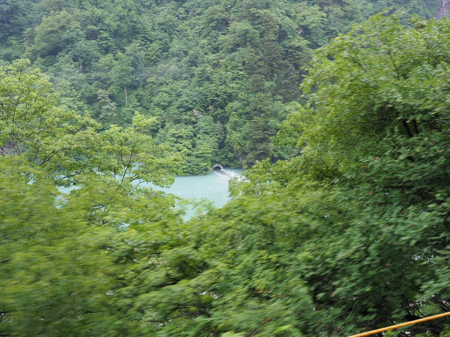 P5311604.jpg