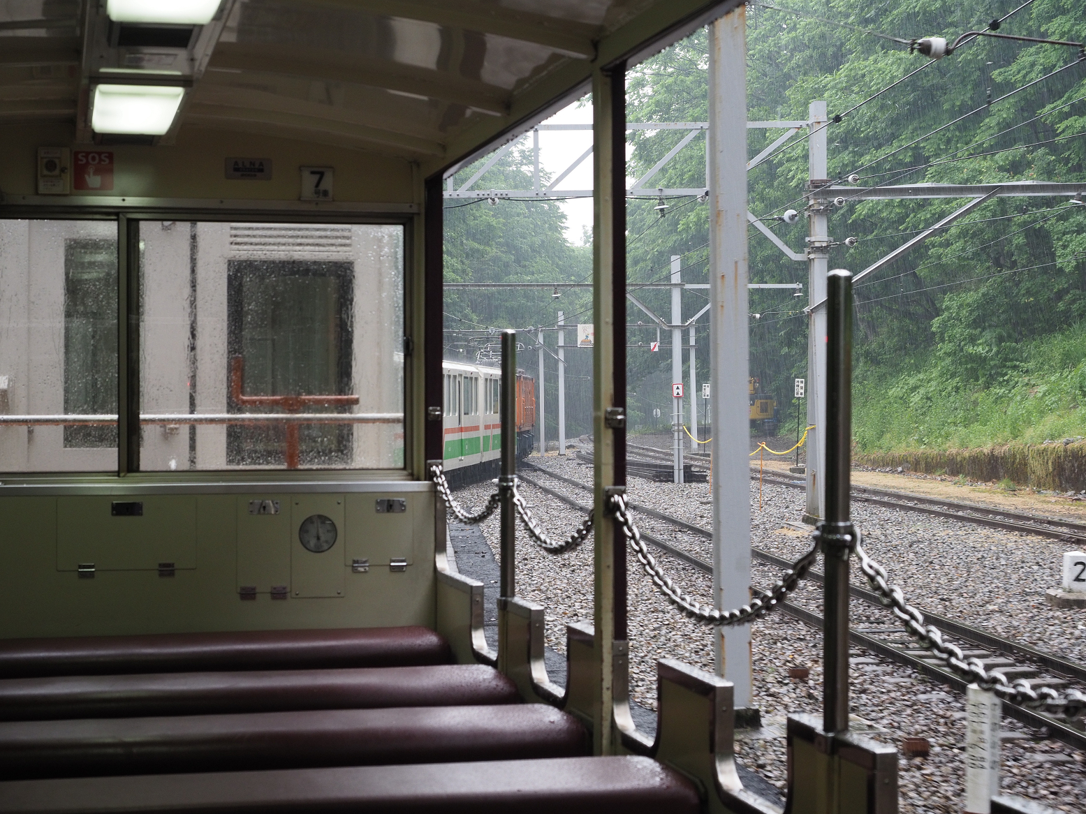 P5311619.jpg
