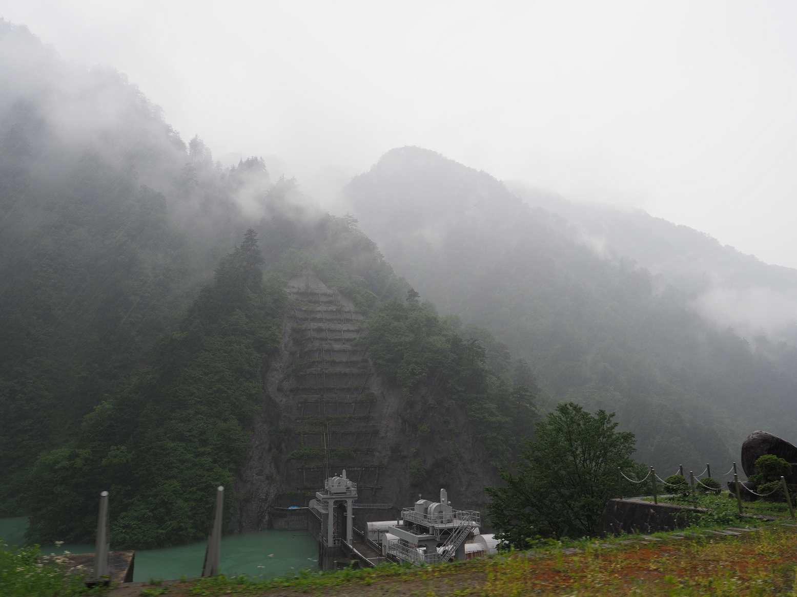 P5311620.jpg