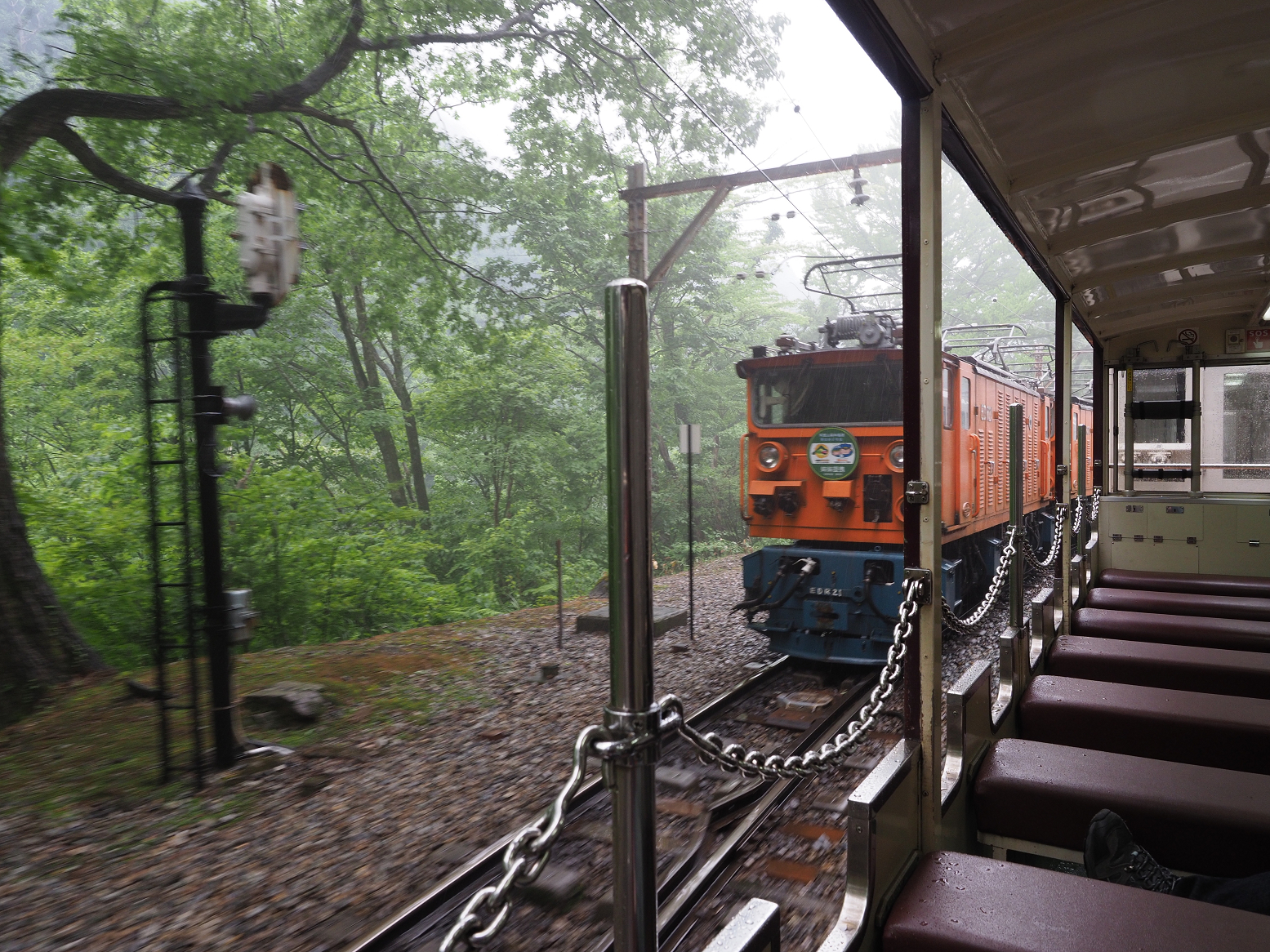 P5311633.jpg