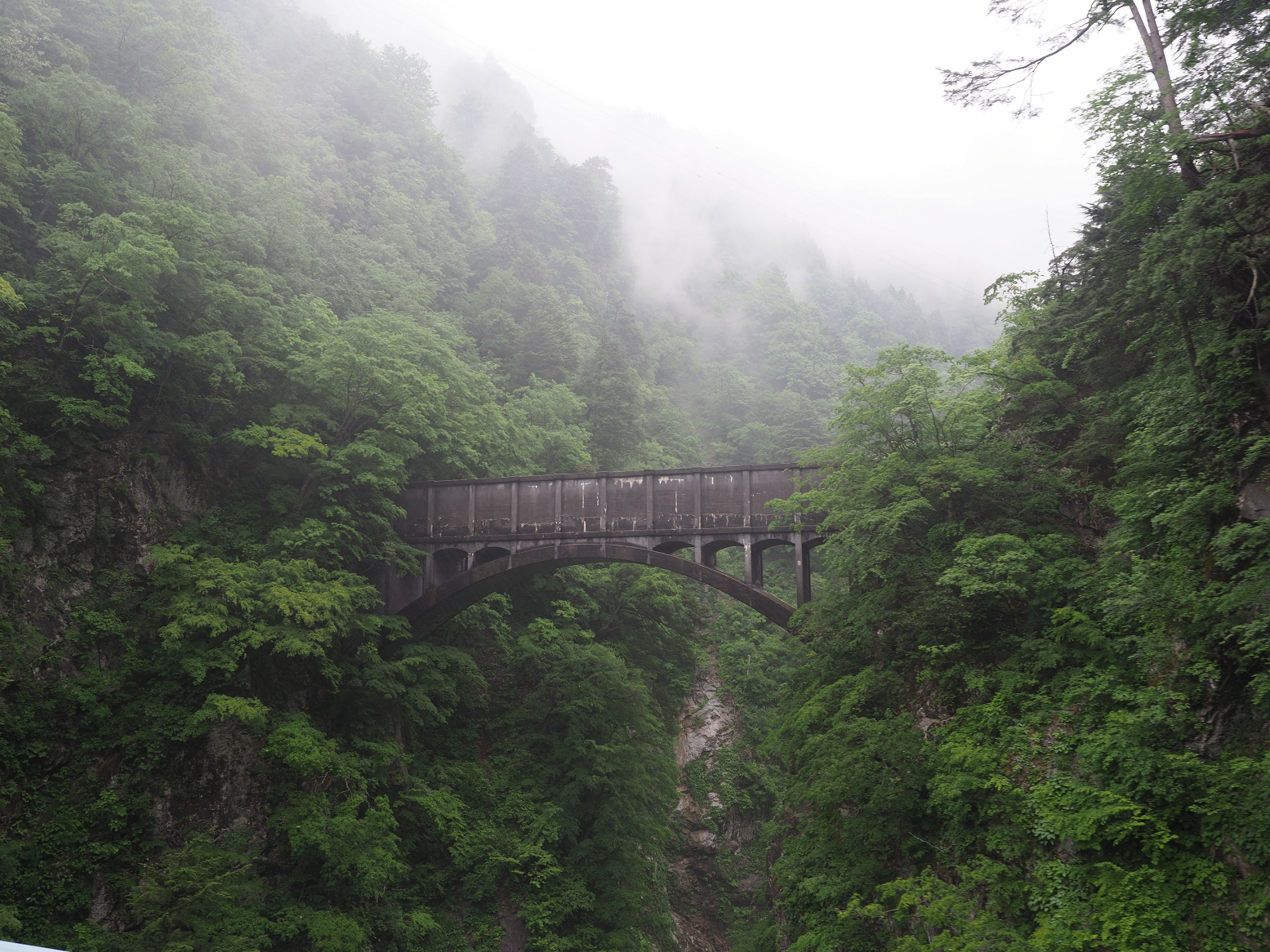 P5311636.jpg