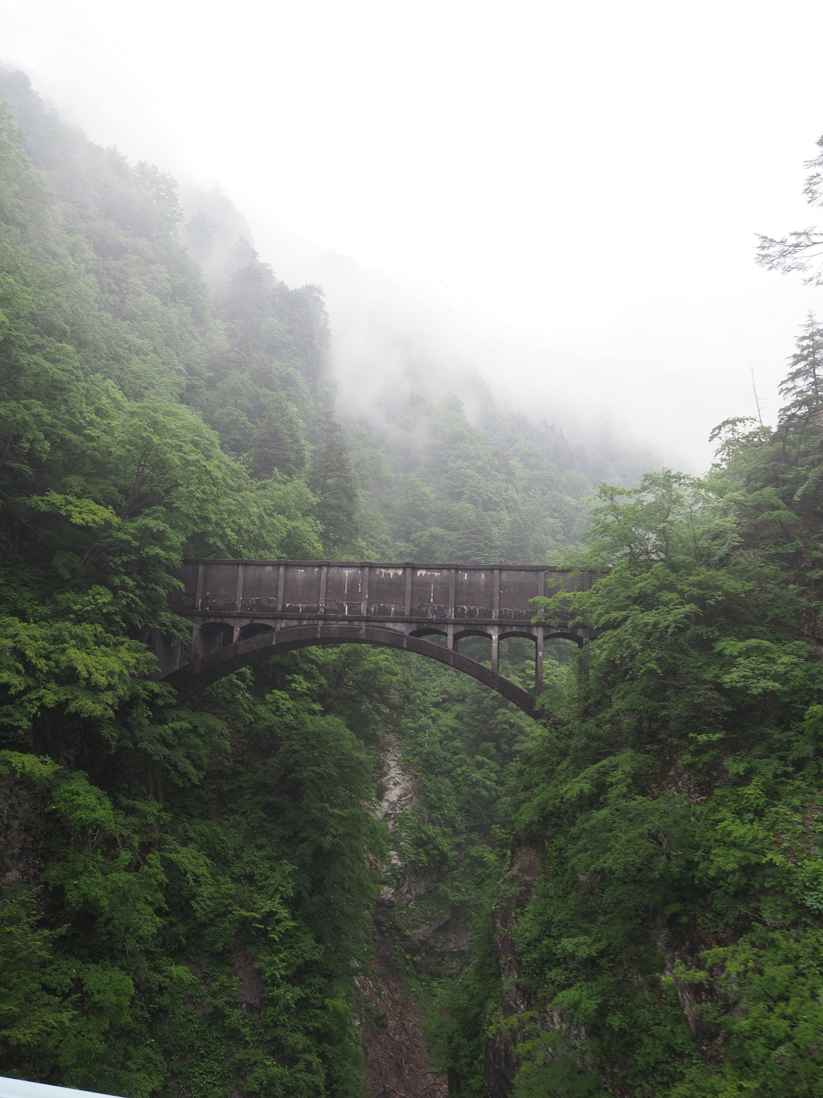 P5311637.jpg