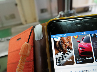 P5311642_thumb.png
