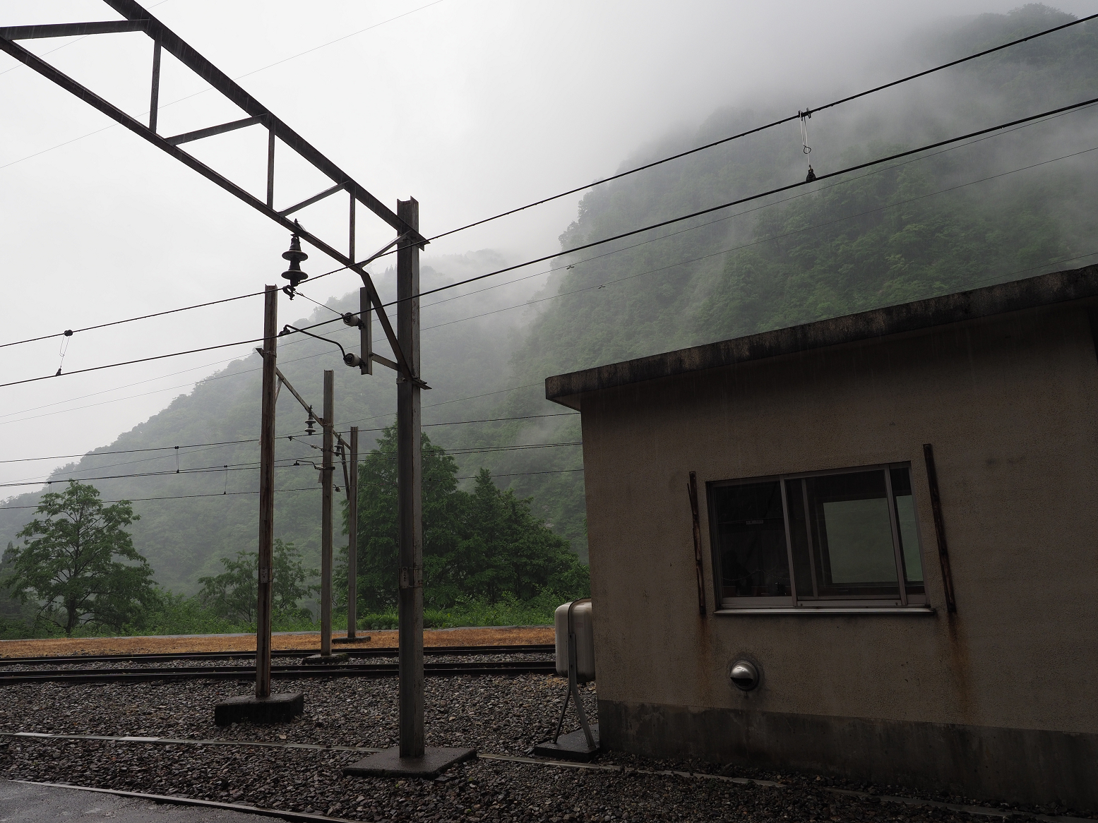 P5311646.jpg