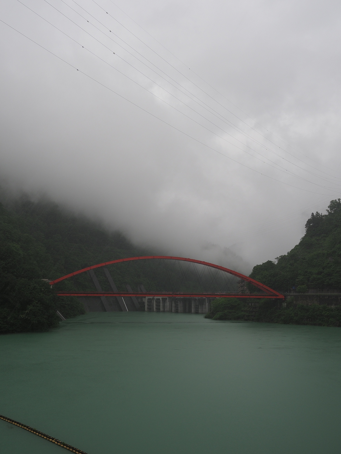 P5311650.jpg