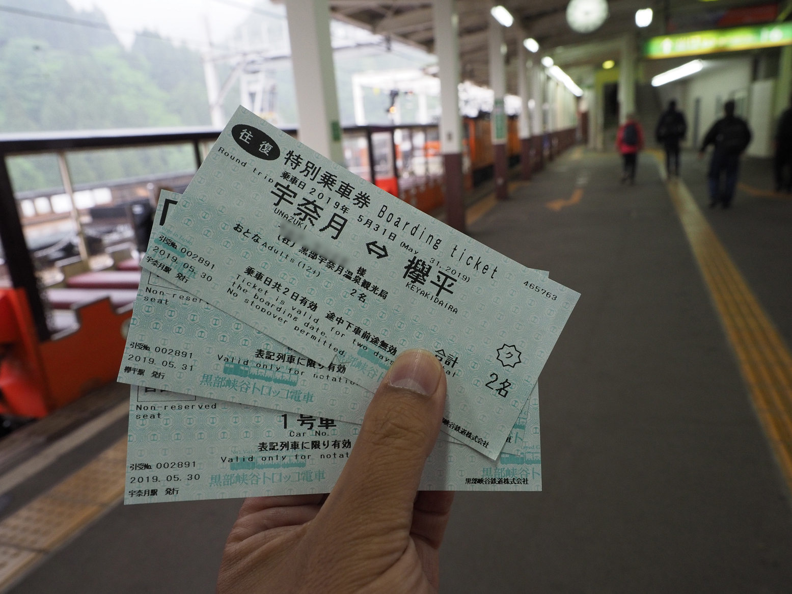 P5311657.jpg