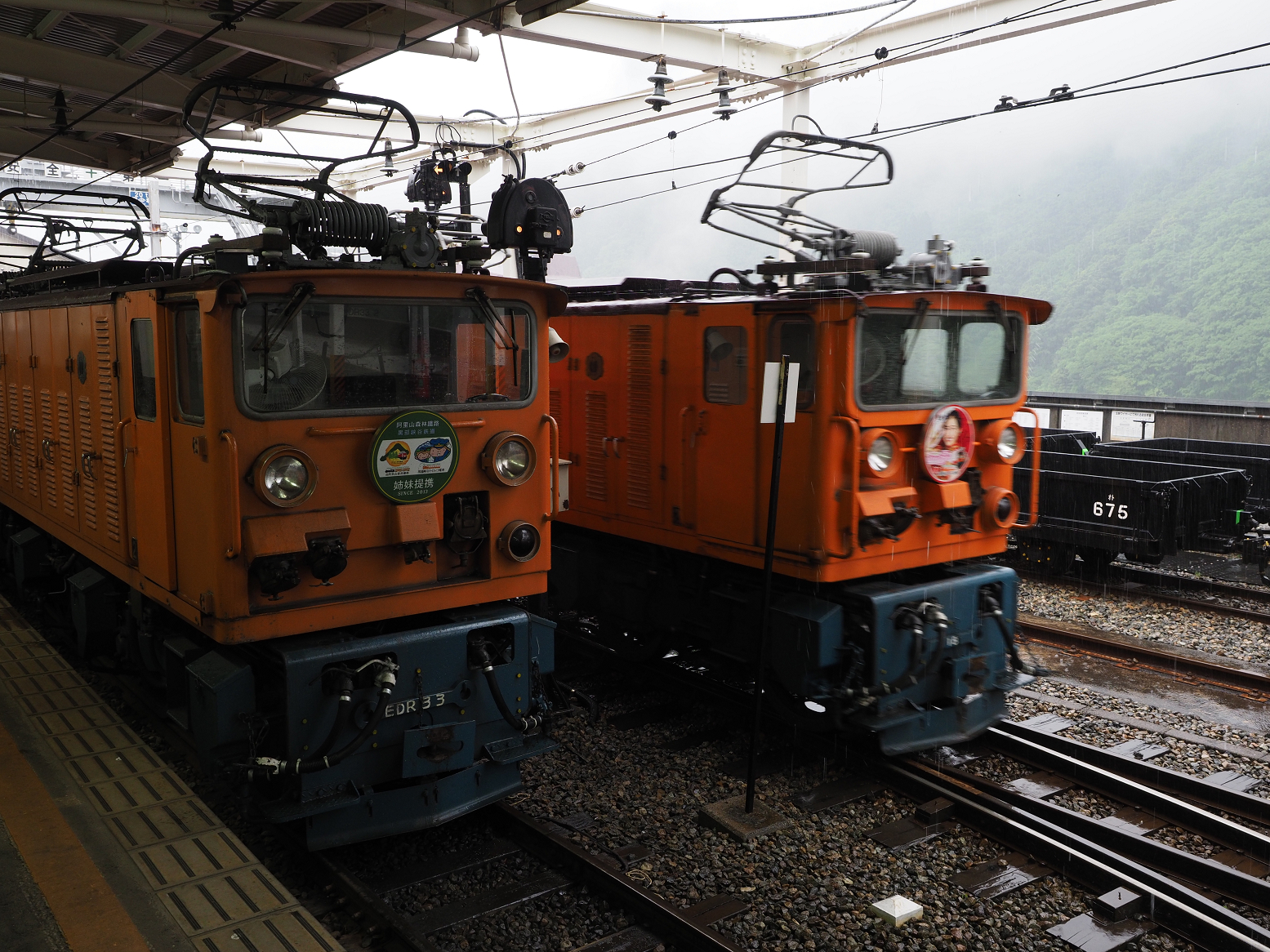 P5311663.jpg