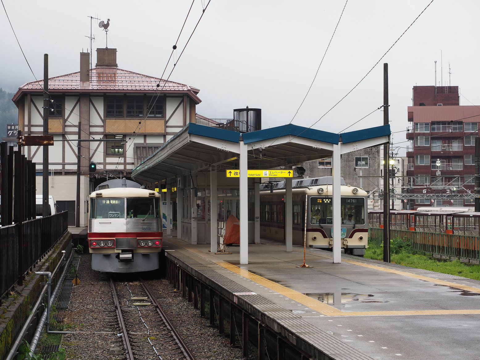 P5311684.jpg