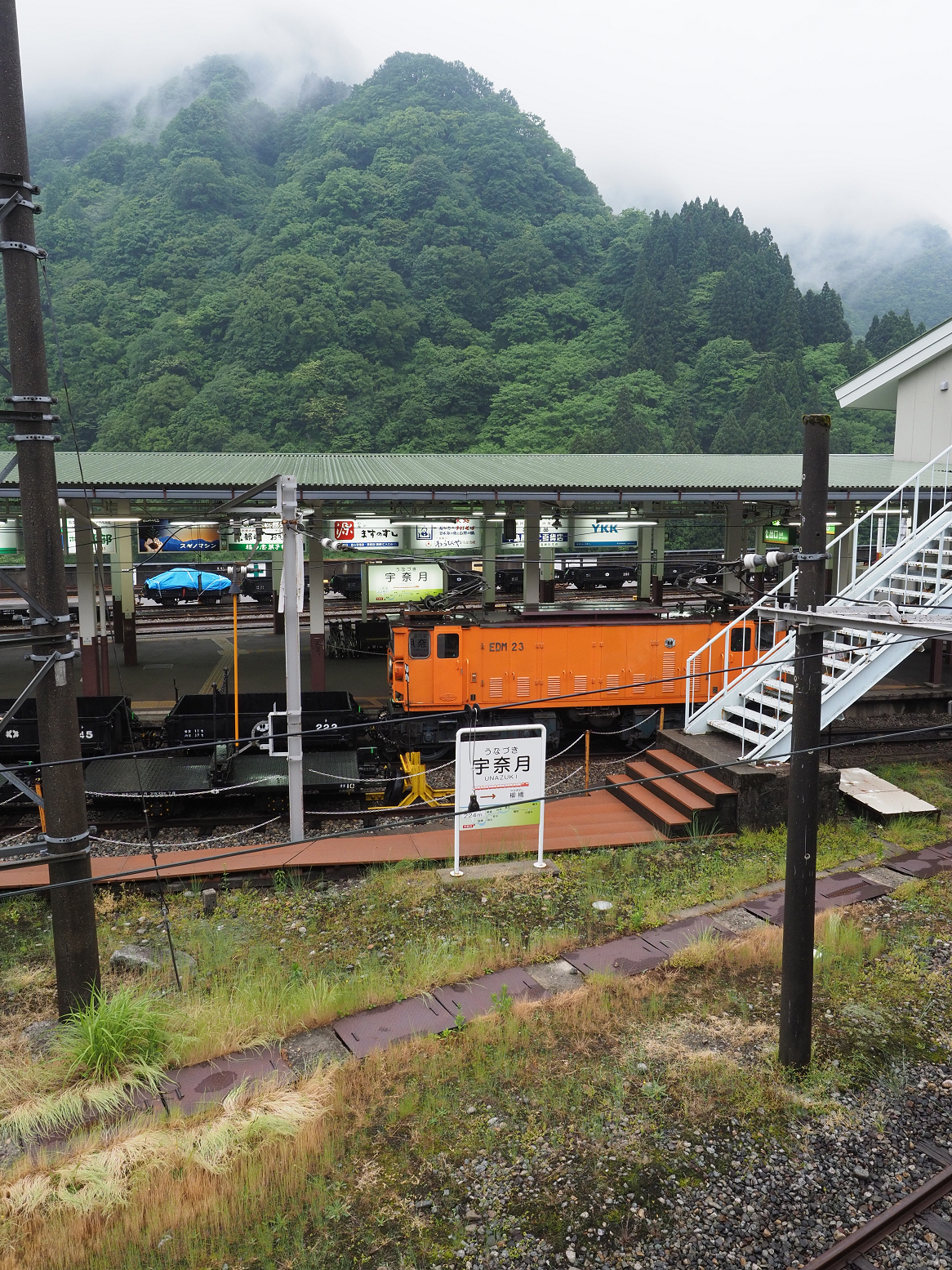 P5311686.jpg