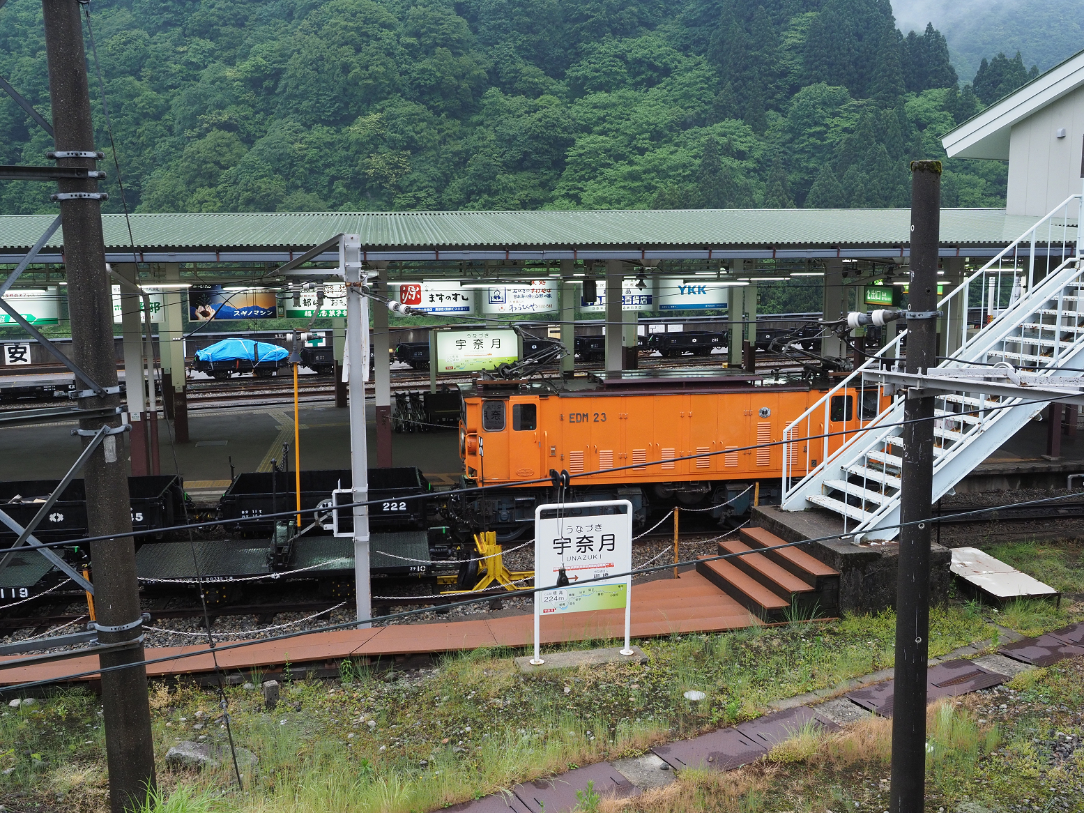 P5311687.jpg