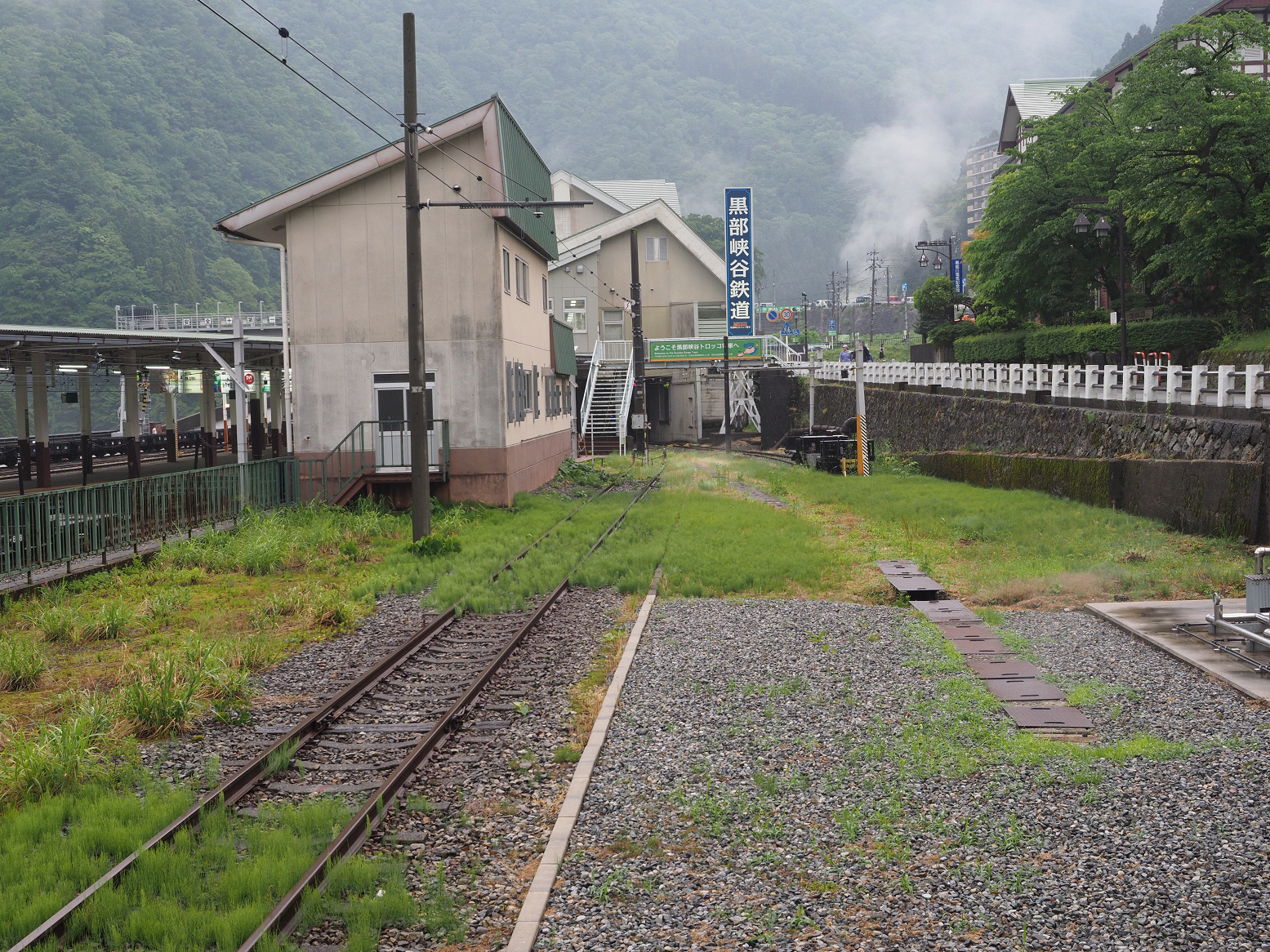 P5311697.jpg